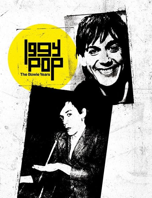 IGGY POP / STOOGES (IGGY & THE STOOGES)  / イギー・ポップ / イギー&ザ・ストゥージズ / THE BOWIE YEARS (BOXED SET)