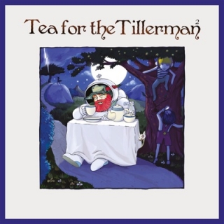 CAT STEVENS (YUSUF) / キャット・スティーヴンス(ユスフ) / TEA FOR THE TILLERMAN 2 (LP) 