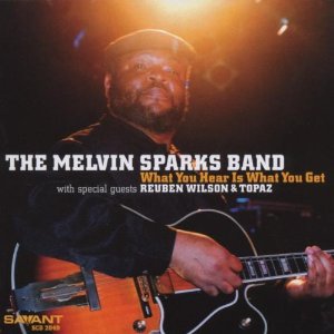 MELVIN SPARKS / メルヴィン・スパークス / What You Hear Is What You Get