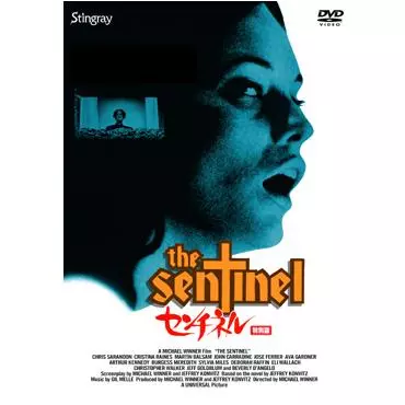 中古 刑事ロニー·クレイブン 完全版 DVD 廃盤 スティングレイ