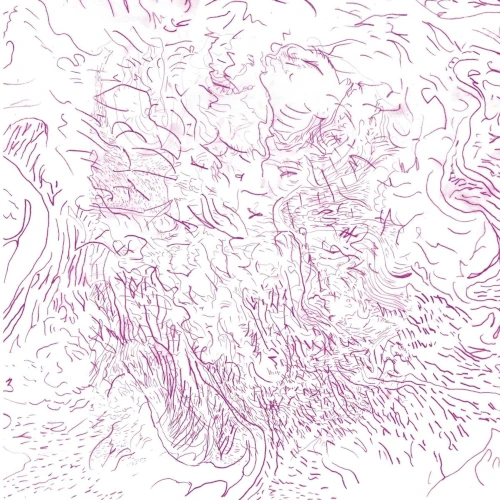 TOM SKINNER / Voices Of Bishara(LP)