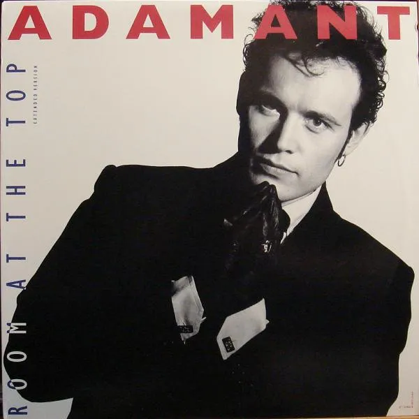ADAM ANT / アダム・アント / ROOM AT THE TOP