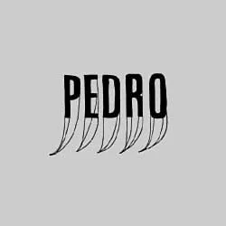 PEDRO (ELECTRONICA) / CHAPEL WAS MY DREAM