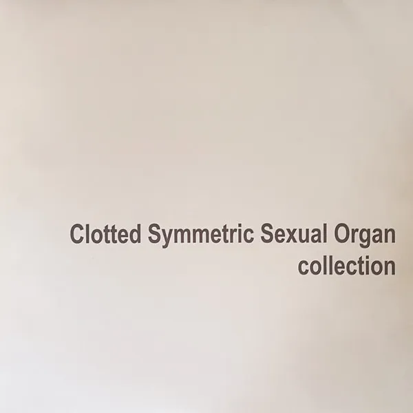 C.S.S.O. / COLLECTION