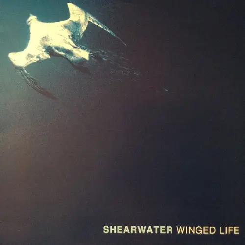SHEARWATER / シーアウォーター / WINGED LIFE