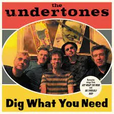 THE UNDERTONES / アンダートーンズ商品一覧｜ディスクユニオン
