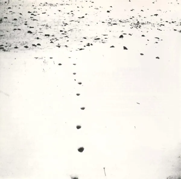 V.A. / FOLDS AND RHIZOMES FOR GILLES DELEUZE