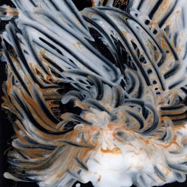 KASSEL JAEGER / カッセル・イェガー / LE LISSE ET LE STRIE