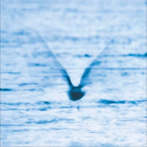 RYO FUKUI / 福居良 / Mellow Dream(LP)