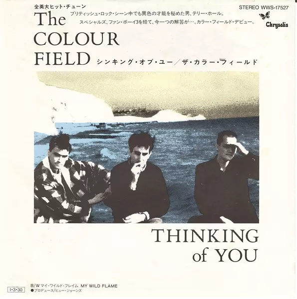 COLOURFIELD / カラーフィールド / シンキングオブユー