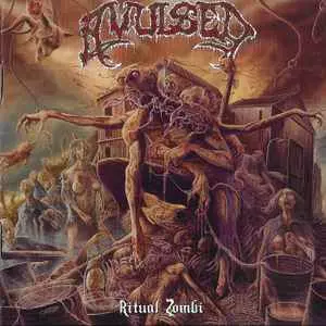 AVULSED / アブルセド / RITUAL ZOMBI