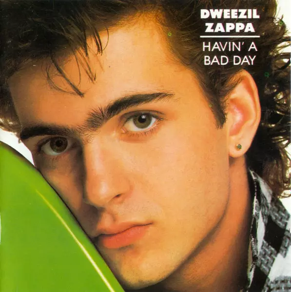 DWEEZIL ZAPPA / ドゥイージル・ザッパ / HAVIN' A BAD DAY