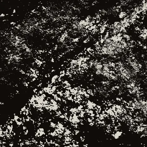 MARK FELL & RIAN TREANOR / LAST EXIT TO CHICKENLEY(2LP)