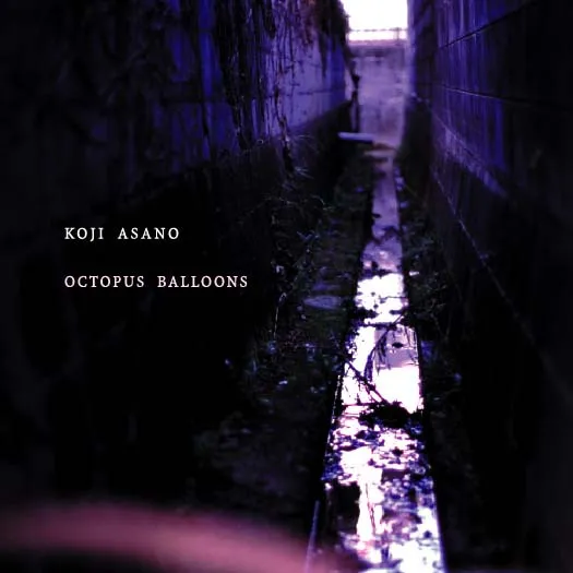 KOJI ASANO / 浅野浩司 / OCTOPUS BALLOONS