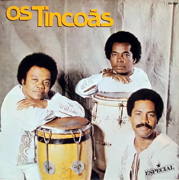 OS TINCOAS / オス・チンコァス / AJAGUNA