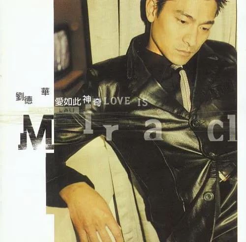 ANDY LAU / アンディ・ラウ (劉德華)商品一覧｜LATIN/BRAZIL