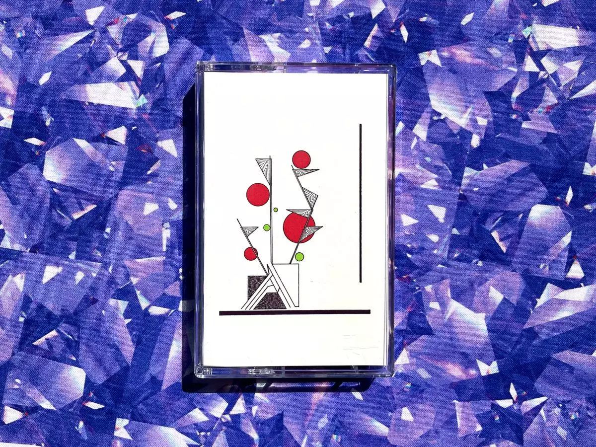 MUSIC FOR TOMATO PLANTS (VINYL)/LORIS S. SARID/2024年