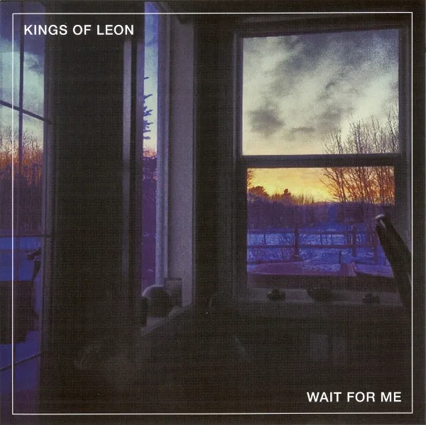 KINGS OF LEON / キングス・オブ・レオン商品一覧｜ディスクユニオン