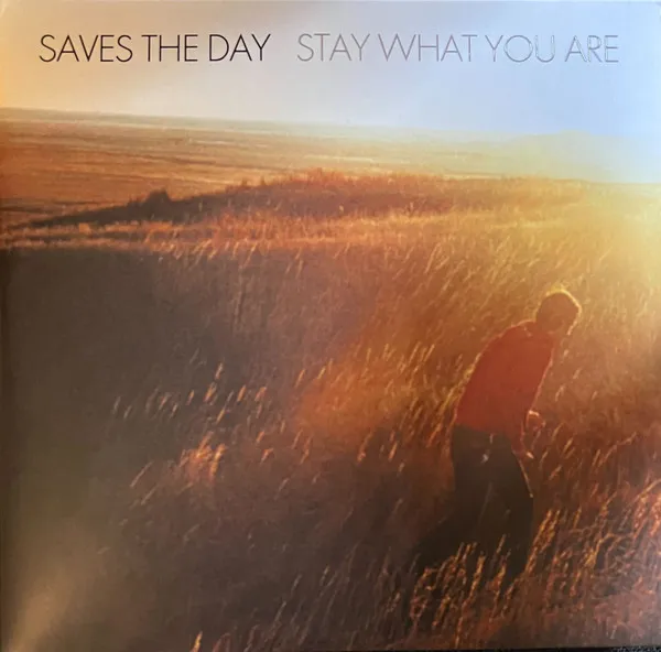 Saves The Day オリジナル盤レコード　emo パンク Saves The Day オリジナル盤レコード emo パンク