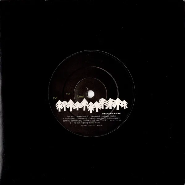 NU FOREST / I PICKED A FLOWER