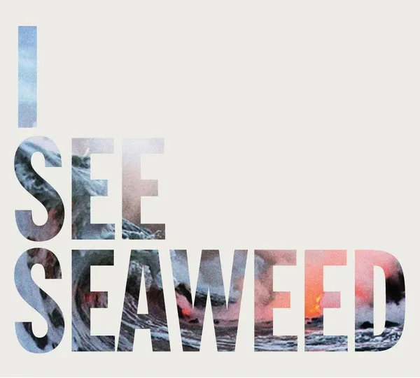 DRONES / I SEE SEAWEED