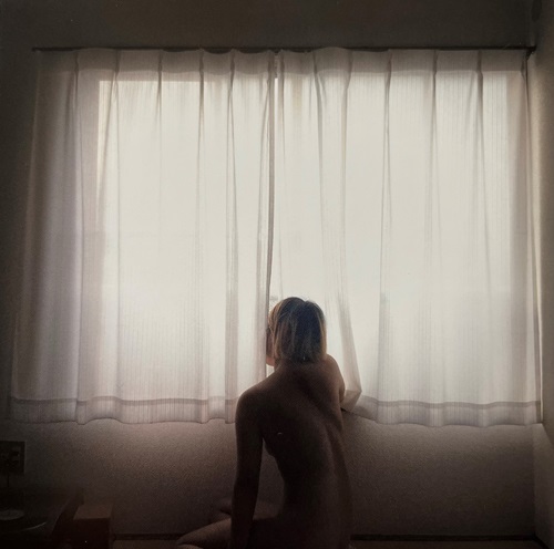 山本眞奈美 / どこにもない窓