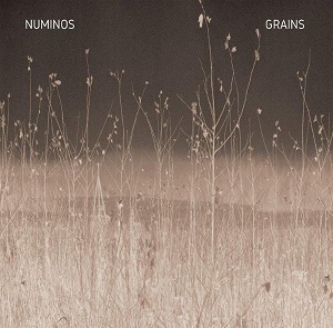 NUMINOS / GRAINS