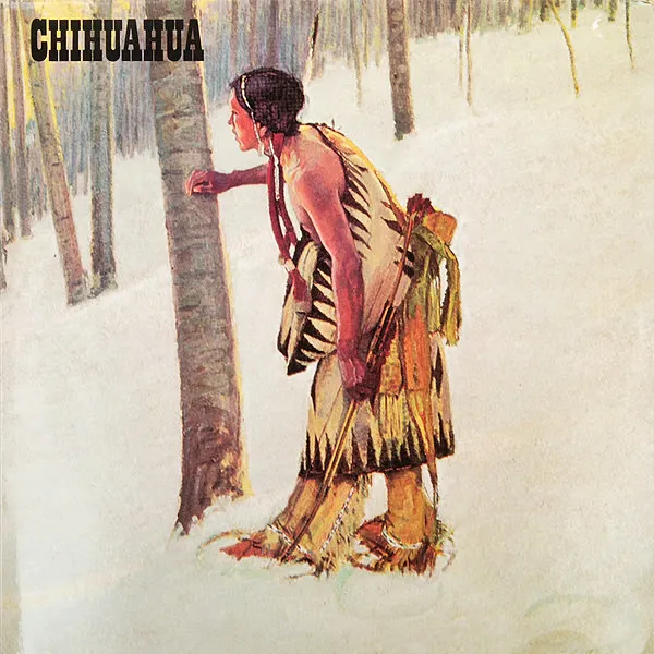 CHIHUAHUA / チワワ / CHIHUAHUA