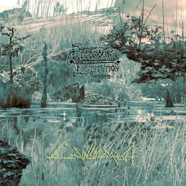 RIGOROUS INSTITUTION / CAINSMARSH