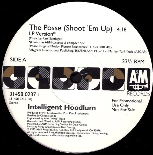 INTELLIGENT HOODLUM / インテリジェント・フッドラム / POSSE (PROMO)