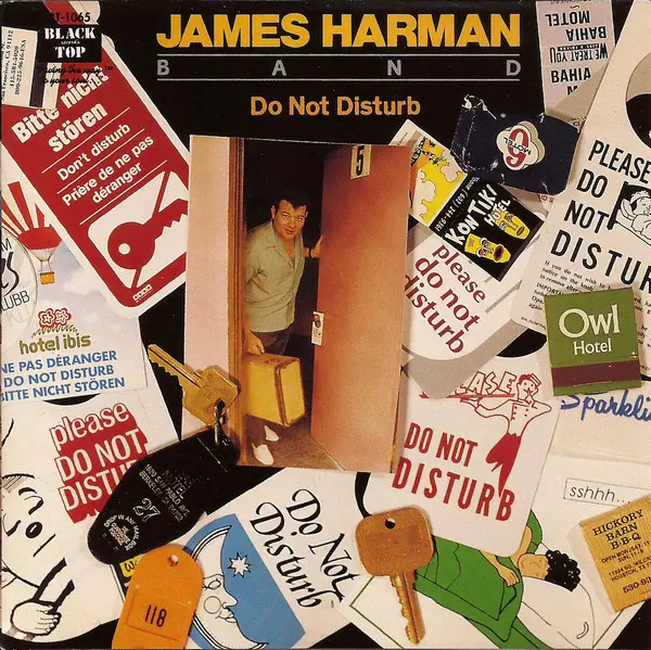 HARMAN JAMES BAND / DO NOT DISTURB