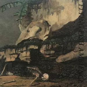 RAINFOREST SPIRITUAL ENSLAVEMENT / レインフォレスト・スピリチュアル・エンスレイヴメント / FLYING FISH AMBIENCE