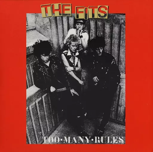 FITS / フィッツ商品一覧｜PUNK｜ディスクユニオン・オンライン