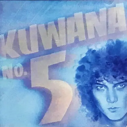 MASAHIRO KUWANA / 桑名正博 / KUWANA NO.5