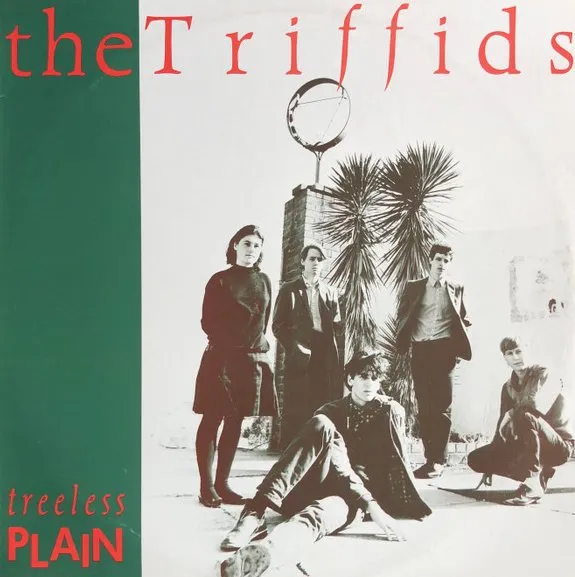 TRIFFIDS / トリフィッズ / TREELESS PLAIN