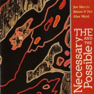 JOE MORRIS / ジョー・モリス / Necessary And The Possible