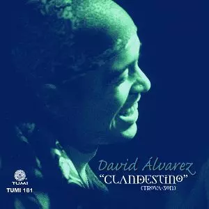 DAVID ALVAREZ / ダビー・アルバレス / CLANDESTINO