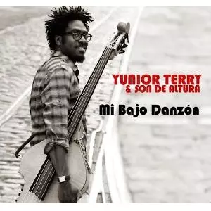 YUNIOR TERRY / ジュニオール・テリー / MI BAJO DANZON 