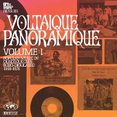 V.A. (VOLTAIQUE PANORAMIQUE)  / ヴォルテク・パラノミク VOL.1