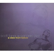 SCOTT FEINER / スコット・フェイネル / A VIEW FROM BELOW