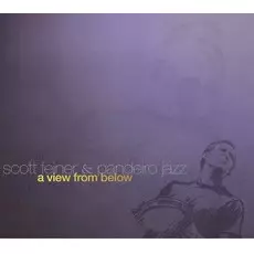 SCOTT FEINER / スコット・フェイネル / A VIEW FROM BELOW