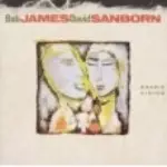 BOB JAMES & DAVID SANBORN / ボブ・ジェームス&デヴィッド・サンボーン / ダブル・ヴィジョン