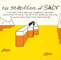 SATORU SHIONOYA / 塩谷哲 / THE SELECTION OF SALT / セレクション・オブ・SALT