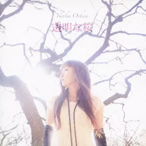 【超希少CD】『scape』（落合祐里香） 落合祐里香商品一覧｜PUNK｜ディスクユニオン・オンラインショップ