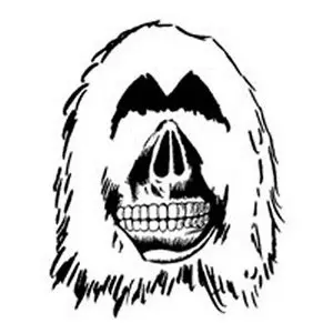 FLYING RHYTHMS / フライングリズムス / Rhythm Connection