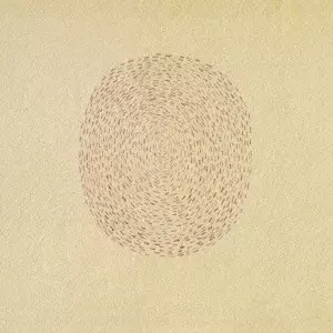 DEVENDRA BANHART / デヴェンドラ・バンハート / NINO ROJO / ニーノ・ロッホ