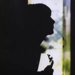 WILD WOOD / ワイルド・ウッド/PAUL WELLER/ポール・ウェラー｜ROCK