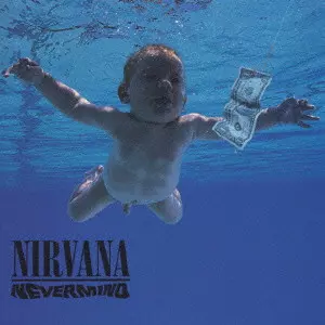 NEVERMIND / ネヴァーマインド/NIRVANA/ニルヴァーナ｜ROCK / POPS