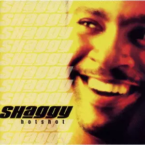 HOT SHOT / ホット・ショット/SHAGGY/シャギー｜ROCK / POPS / INDIE