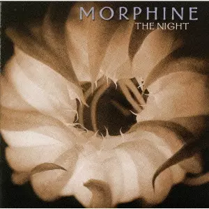 モーフィーン商品一覧｜PUNK｜ディスクユニオン・オンラインショップ